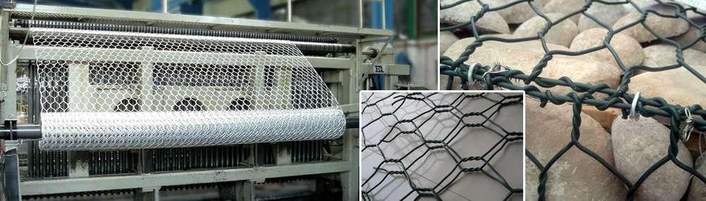 Wire Mesh Fence